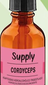 Cordyceps Adaptógeno (60ml) - Supply