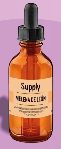 Melena de León Adaptógeno (60ml) - Supply