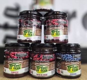 Mermelada de Frutas sin Azúcar (200g) - Trini